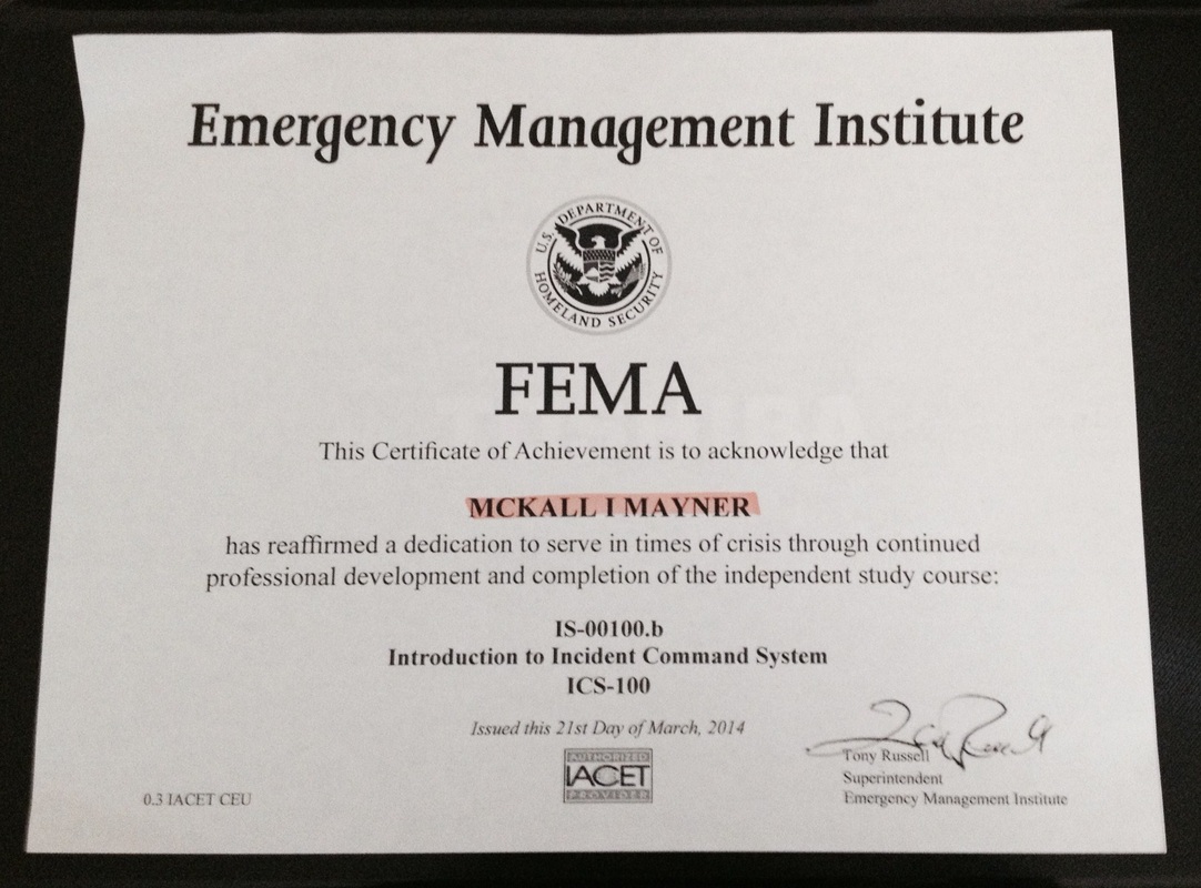 emergency certificate in education